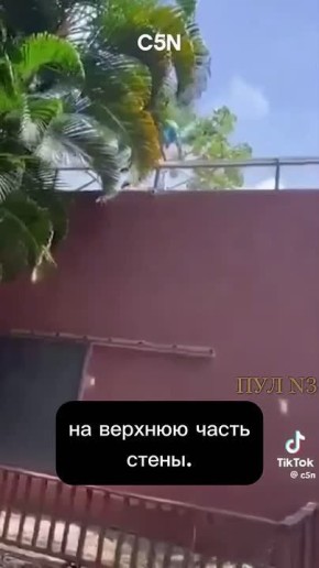     19- ,   .      ,       ,  :