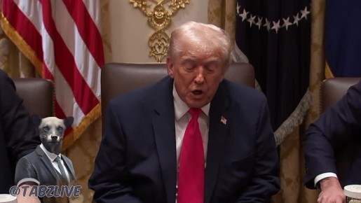  :  ,         &quot; &quot;