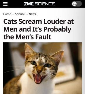 «Кошки кричат громче на мужчин, и, вероятно, в этом виноваты мужчины»: Кошкам в 2,5 раза дольше приходится объяснять мужикам, что им нужно
