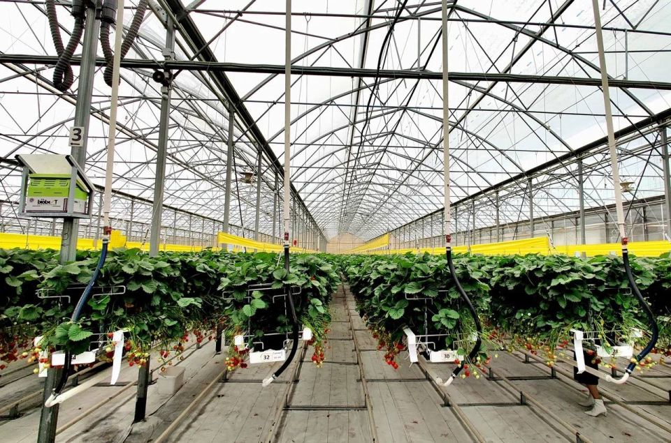 Дмитрий Патрушев: Внедрение газопоршневых электростанций на предприятиях АПК позволит снизить себестоимость сельхозпродукции