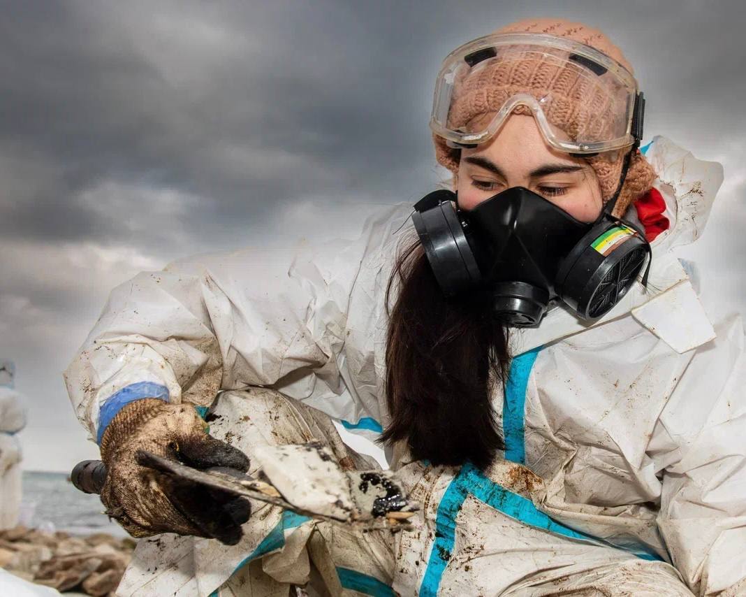 Дмитрий Чернышенко: Сегодня в добровольческое движение активно вовлечены миллионы граждан нашей страны Дмитрий Чернышенко: Сегодня в добровольческое движение активно вовлечены миллионы граждан нашей страны