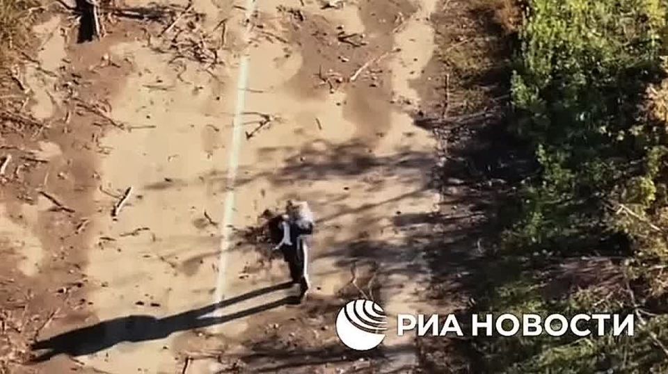 ���������� ���� ������� ������ ������ ������� ��������������, ������� �� ���� ������ ��������