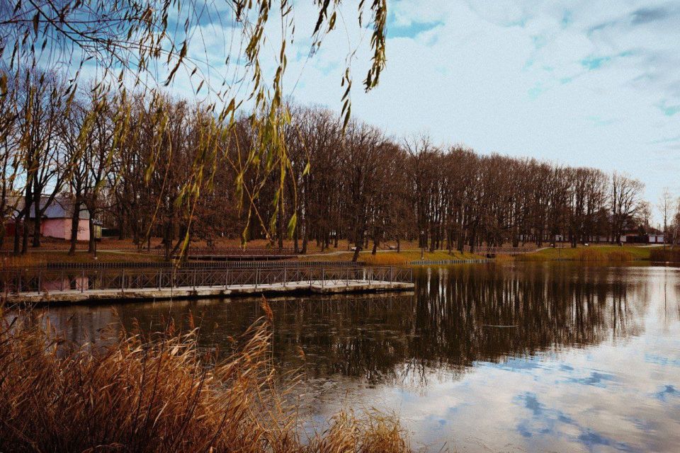 Осень в Тульской области — это что-то на прекрасном