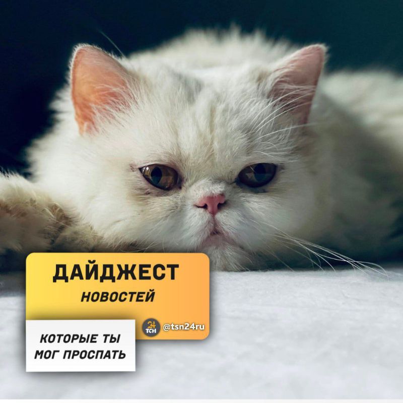 ������������ � ��������, ������� �� ����� ���������� �����