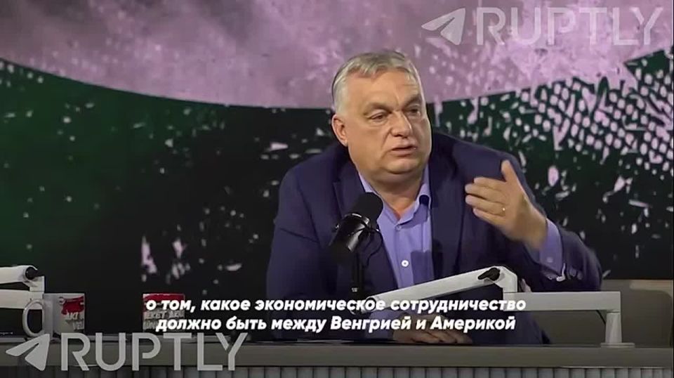 ���� ��������: ������ �������� ������ ���� � ��������