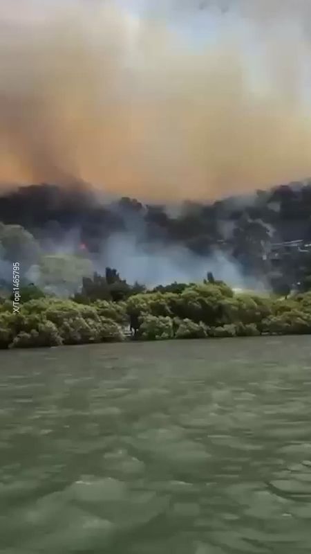 Мощные лесные пожары уничтожают дома на юге Австралии — огонь охватил штаты Тасмания и Новый Южный Уэльс, пишет The Guardian