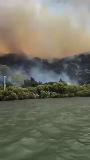 Мощные лесные пожары уничтожают дома на юге Австралии — огонь охватил штаты Тасмания и Новый Южный Уэльс, пишет The Guardian