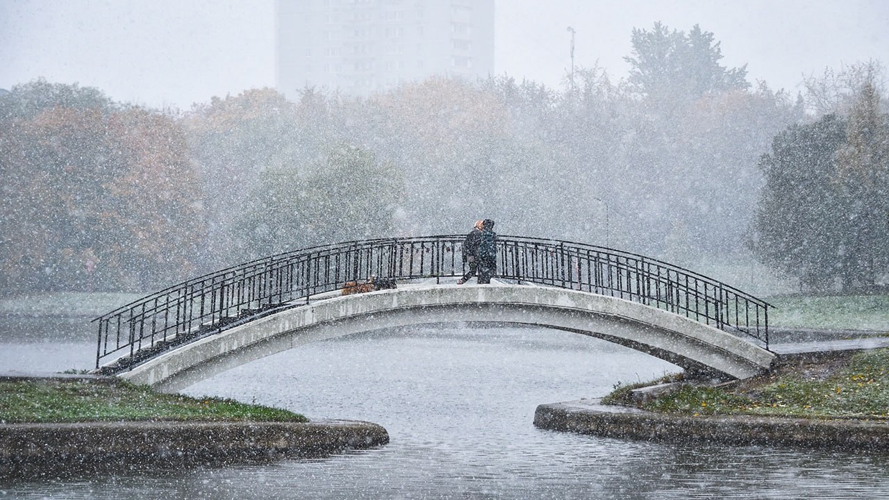 Погодные качели ждут москвичей на следующей неделе — в начале выпадет снег, но к пятнице все снова растает, рассказал "Звезде" синоптик Александр Шувалов