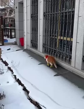 Михаил Онуфриенко: Все уже готовы к новогодним праздникам