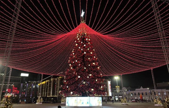 Главная ёлка Тулы попала в Книгу рекордов России