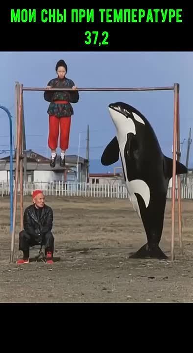 Маркетинг в мемах - подпишись — и смейся над проблемами