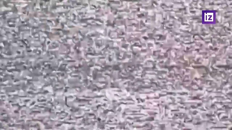 Расчёт гаубицы "Мста-Б" и операторы войск беспилотных систем Южной группировки войск уничтожили миномёт и две антенны управления БПЛА противника