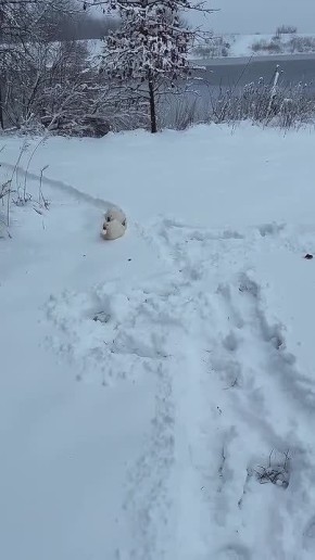 Уточки о лидировании. Лидирование - один из способов проводки судов в акватории Северного морского пути