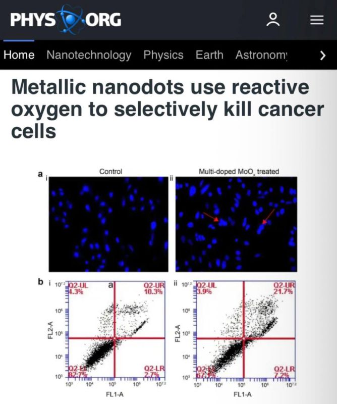 «Металлические наночастицы используют активный кислород для избирательного уничтожения раковых клеток»: Найден способ уничтожить раковые клетки без ущерба здоровым
