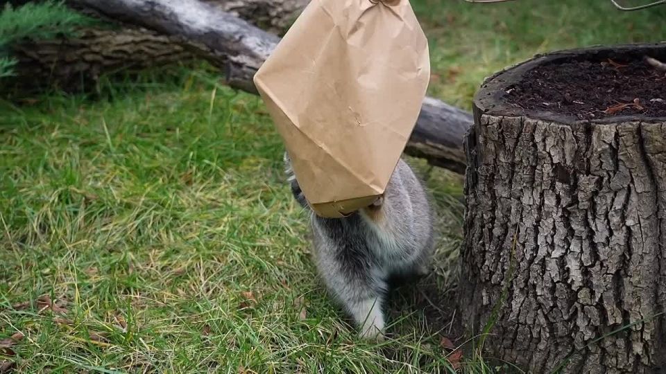 ����� ������� �� ����������� �������� �������� ��������� - ������ �� ����� 6,5 ����������