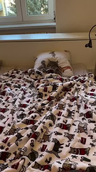 Михаил Онуфриенко: Такой намек невозможно понять неправильно