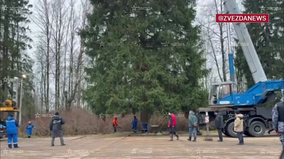 ������� ���� ������ ������� � ������ 10 ������� � ������ ��� �� ������� � �����������