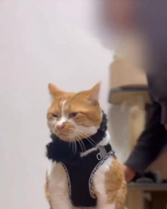 Михаил Онуфриенко: - Декабрь на дворе, одевайся теплее