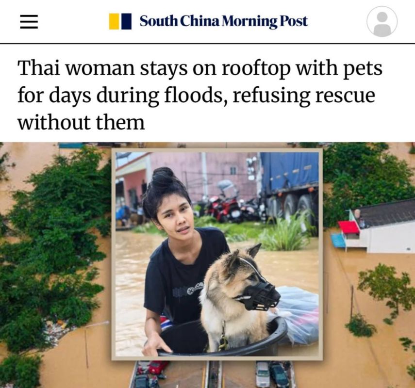 «Женщина во время наводнения жила на крыше с домашними животными»: В Таиланде девушка больше недели жила на крыше с собакой и кошкой без еды, поскольку спасатели отказывались спасать ее питомцев
