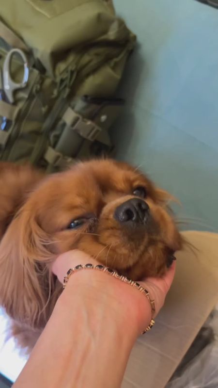 ���� ��������: �������� ����� ����������� � ���������-����