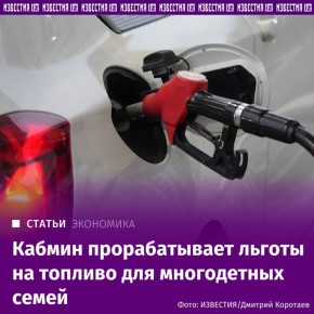 В России могут ввести специальные топливные карты для многодетных семей