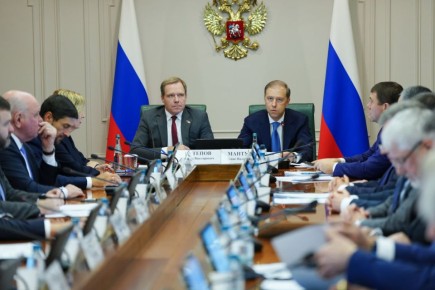 Денис Мантуров выступил на заседании комитета Совета Федерации по экономической политике