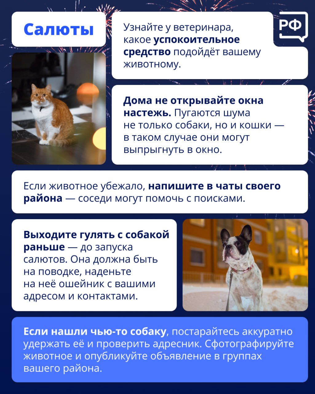 Новый год — это салюты, гирлянды и стресс для животных Новый год — это салюты, гирлянды и стресс для животных