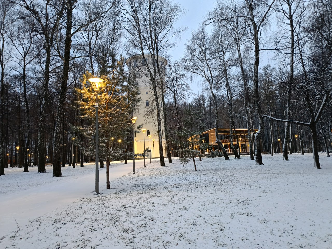 Снег…мы тебя ждали Снег…мы тебя ждали