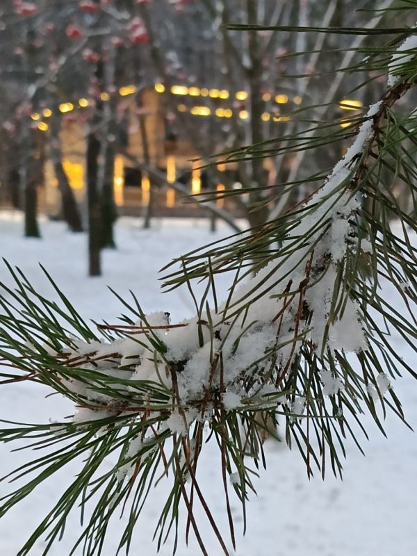 Снег…мы тебя ждали