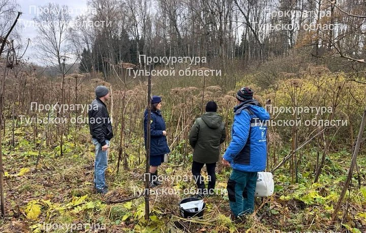 В Заокском районе привлекли к ответственности организацию, сбрасывающую стоки в приток реки Скнижка