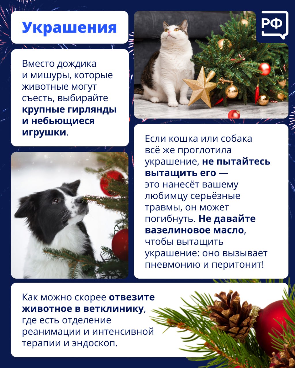 Новый год — это салюты, гирлянды и стресс для животных