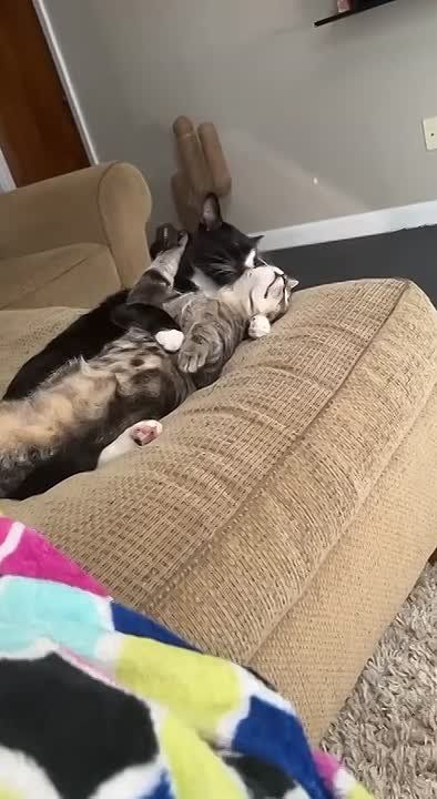 ������ ����������: ����� ��� ����� � ��������� ����