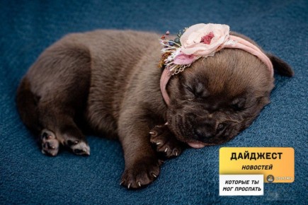 Рассказываем о новостях, которые вы могли пропустить вчера