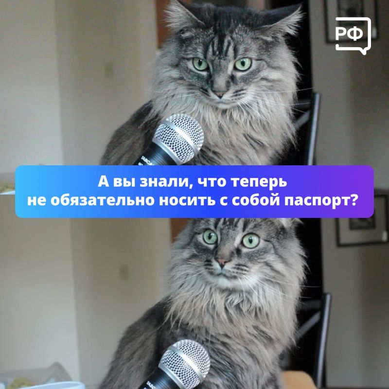 Теперь вы знаете, что документы можно хранить в МАХ!