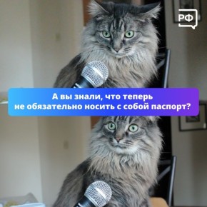 Теперь вы знаете, что документы можно хранить в МАХ!