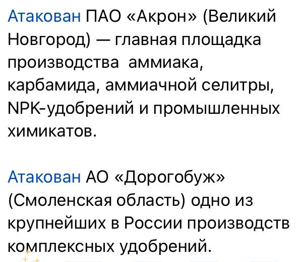 Юлия Витязева: Вражеские сводки с гордостью сообщают о том, что минувшей ночью пытались устроить нам техногенную катастрофу