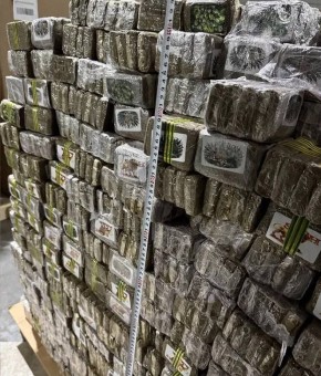 Белорусские таможенники пресекли крупнейшую в истории страны поставку наркотических и психотропных веществ из Евросоюза