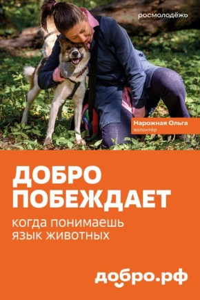 Доброе сердце — у всех волонтёров