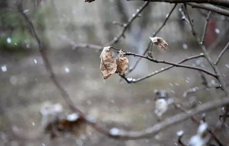 В Тульской области 12 и 13 декабря прогнозируется резкое ухудшение погоды