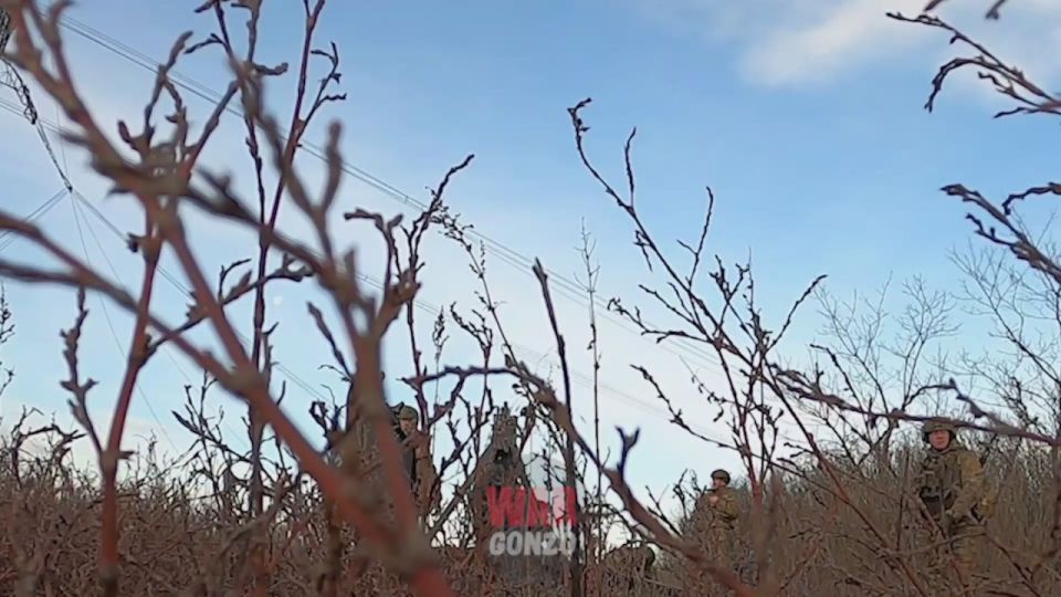 WarGonzo: ��������� ������: ���������� 7-�� ����� ����� ��������� ����� �� ��������������� �����������