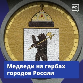 Медведь — один из символов России