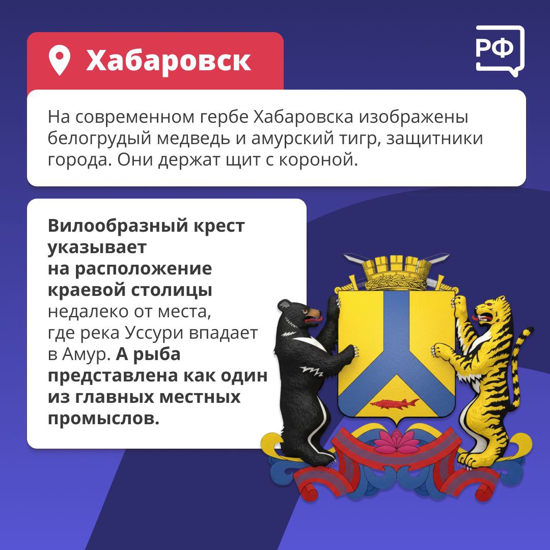 Медведь — один из символов России Медведь — один из символов России