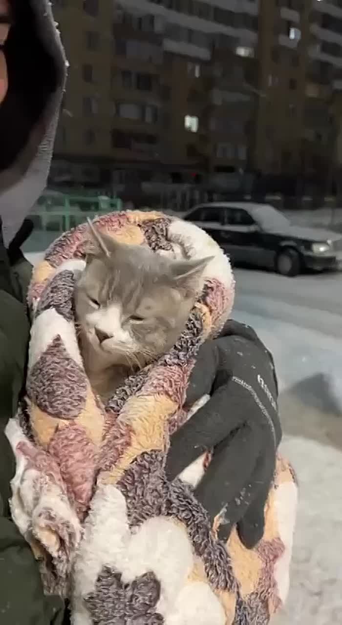 Михаил Онуфриенко: Я никак не решу, вылазить мне из кровати или зима сегодня без меня обойдется?