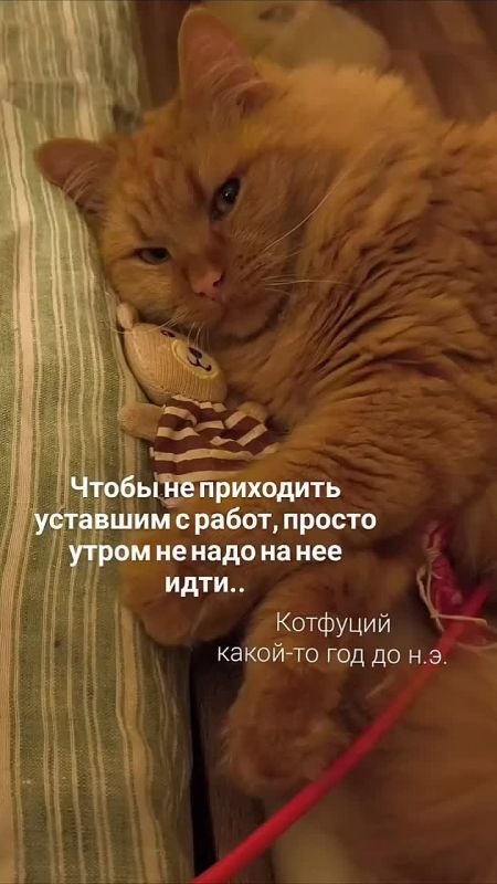 ������ ����������: ��� ������� ������ ��� ������� ��������