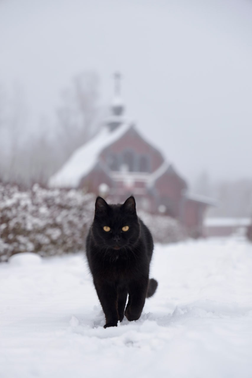 Вячеслав Володин: Первые зимние дни на истоке Днепра Вячеслав Володин: Первые зимние дни на истоке Днепра