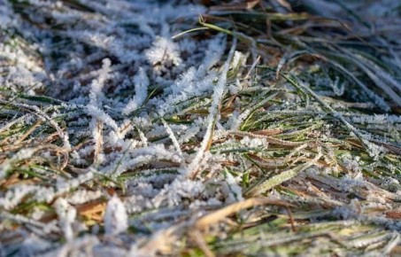 Зима в Тульской области проявит себя только в начале рабочей недели, после чего морозы ослабнут, и вернется оттепель