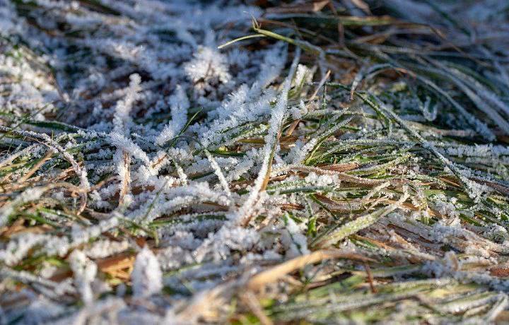 Зима в Тульской области проявит себя только в начале рабочей недели, после чего морозы ослабнут, и вернется оттепель