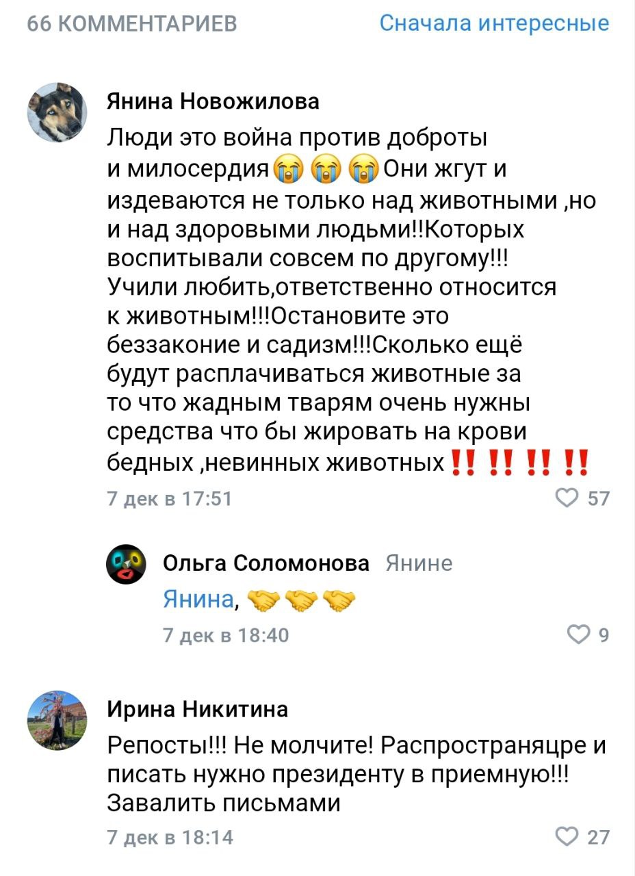 Мой любимый жанр – комменты тревожных зооактивистов Мой любимый жанр – комменты тревожных зооактивистов