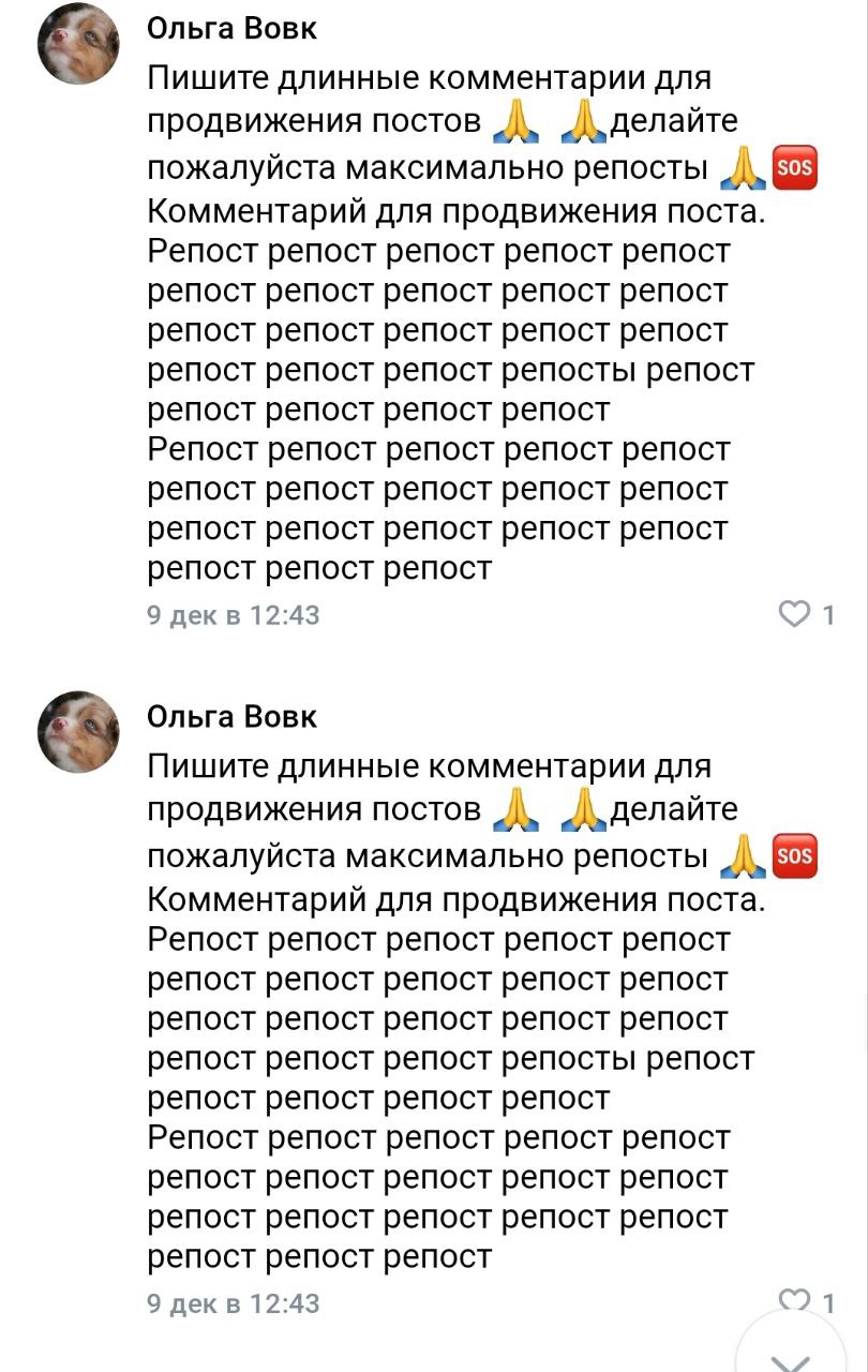 Мой любимый жанр – комменты тревожных зооактивистов Мой любимый жанр – комменты тревожных зооактивистов