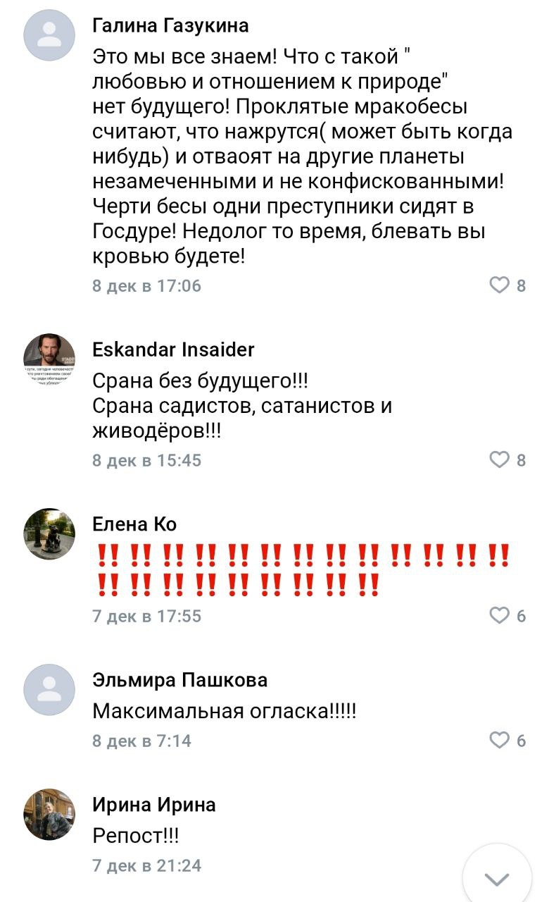 Мой любимый жанр – комменты тревожных зооактивистов Мой любимый жанр – комменты тревожных зооактивистов